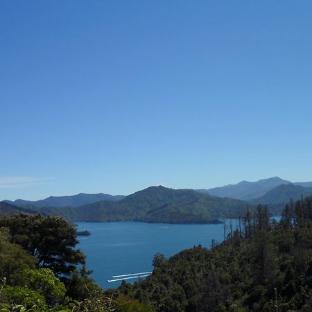 皮克顿 红杉洛奇背包旅馆旅舍 外观 照片